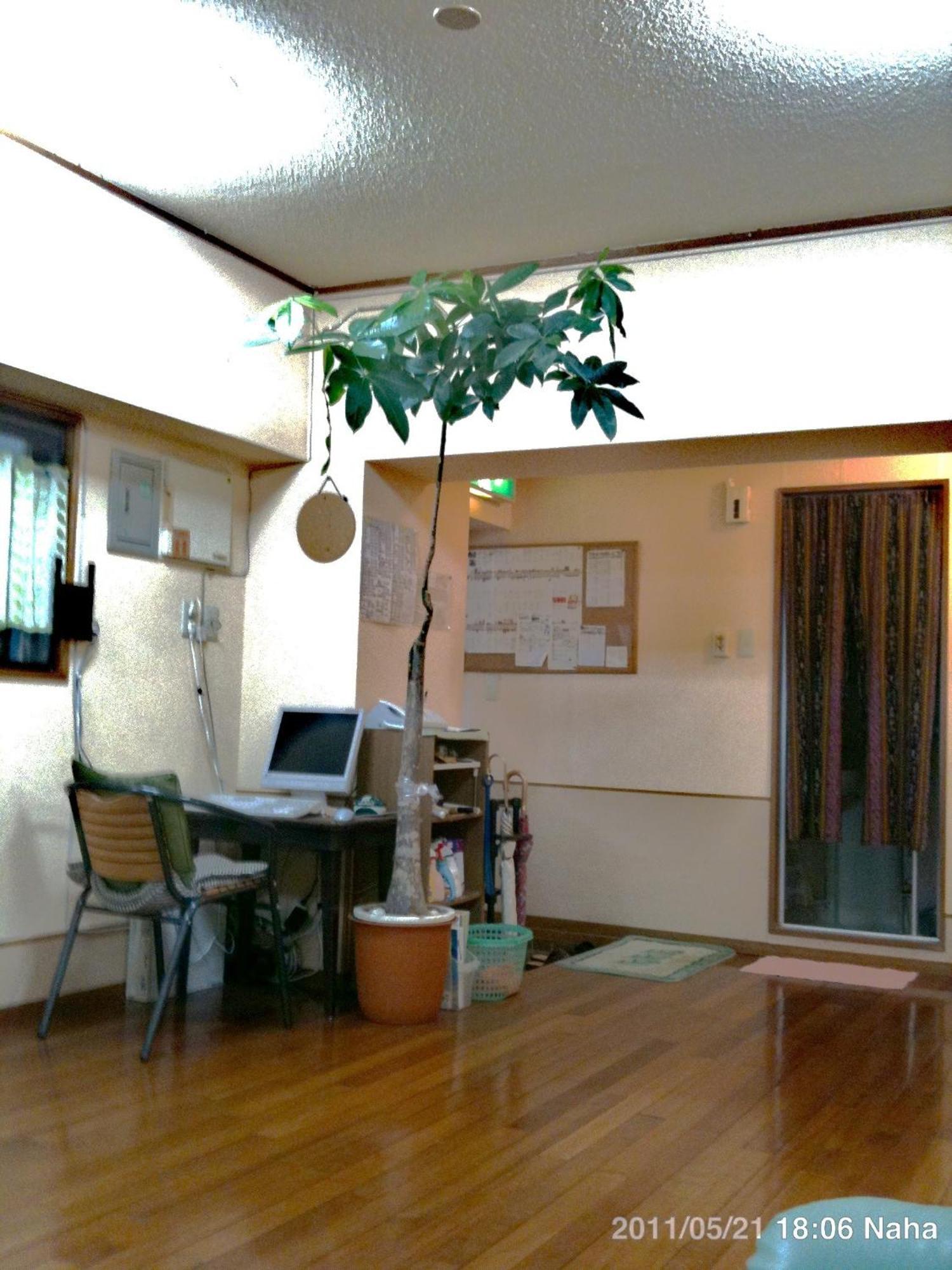 Hostel Hakuseiso Naha Exteriér fotografie